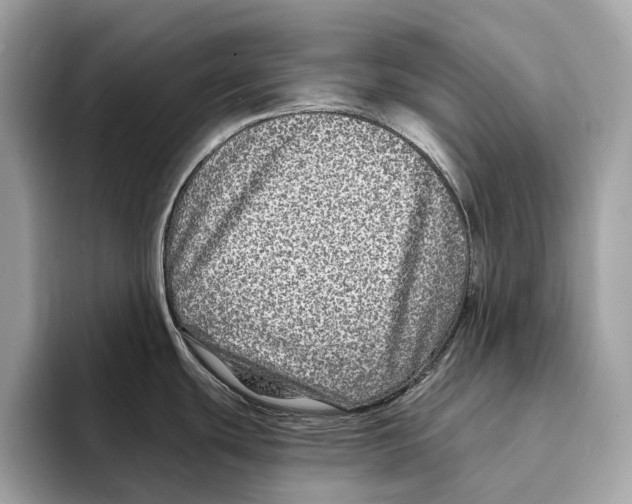 X0000095541439200801111424