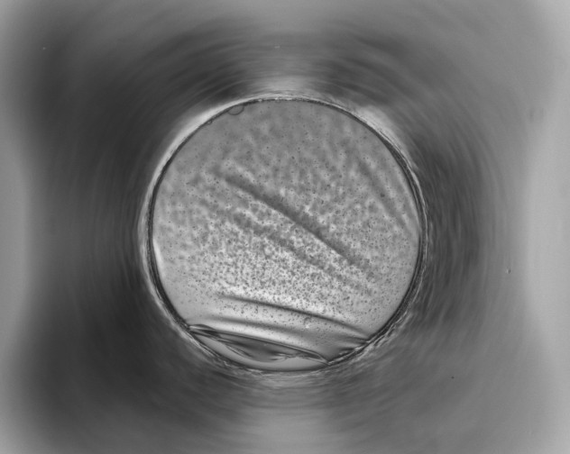 X0000095541440200801111424