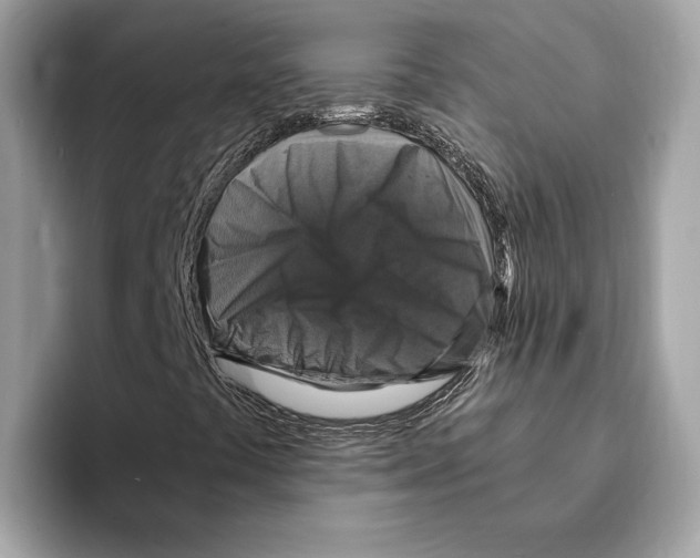 X0000095541441200801111424