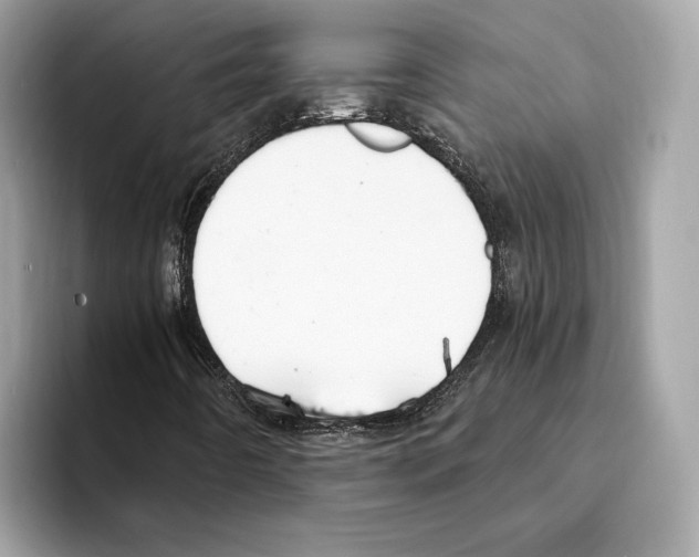 X0000095541442200801111424