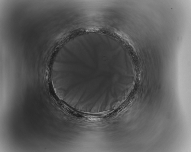 X0000095541445200801111424