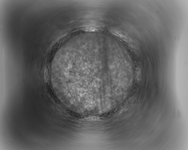 X0000095541446200801111424