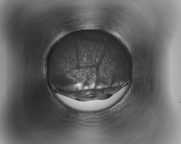 X0000095541450200801111424