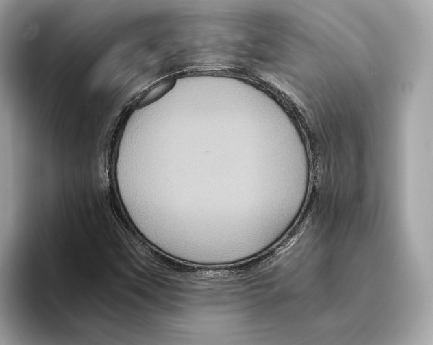 X0000095541451200801111423