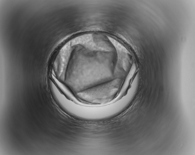 X0000095541452200801111423