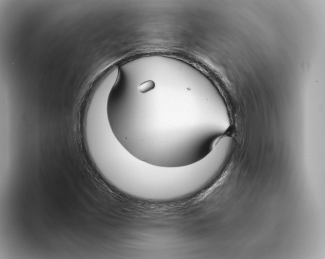 X0000095541453200801111423