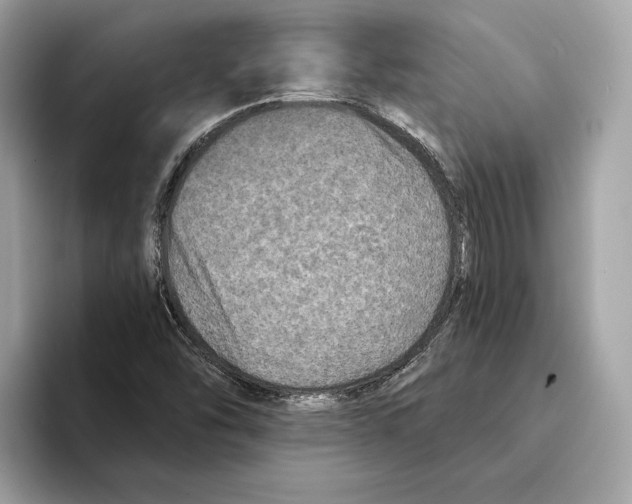 X0000095541454200801111423