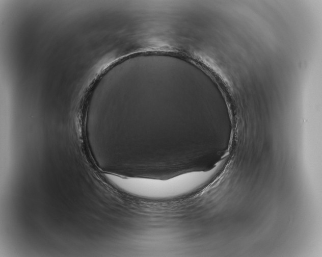 X0000095541455200801111423