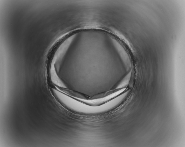 X0000095541456200801111423