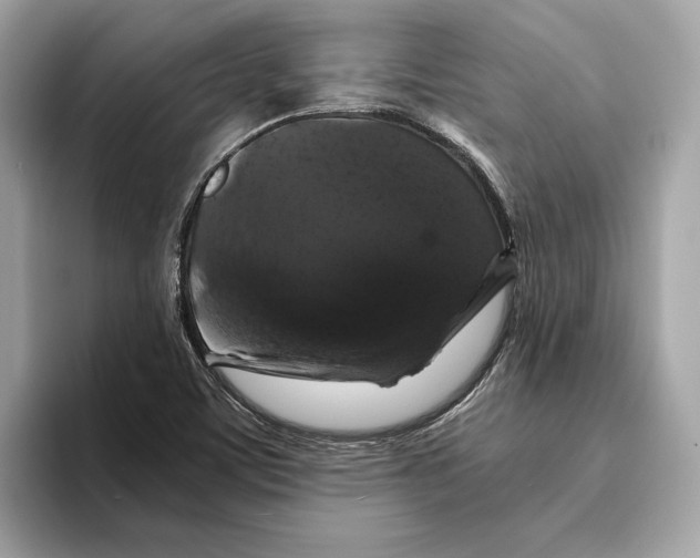 X0000095541459200801111423