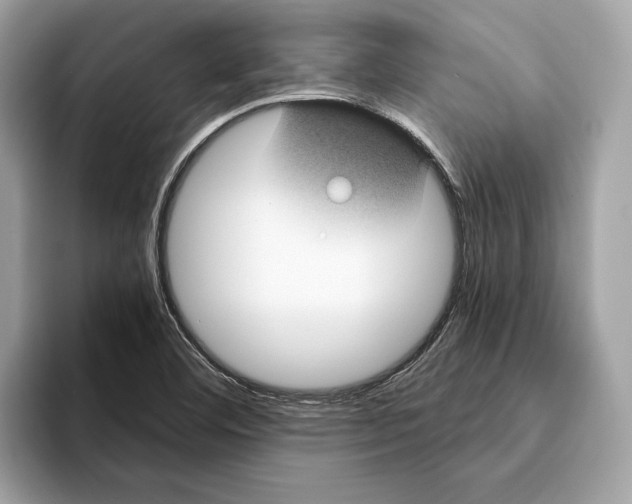 X0000095541460200801111423