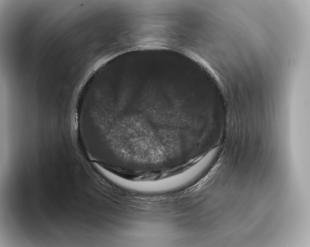 X0000095541461200801111423