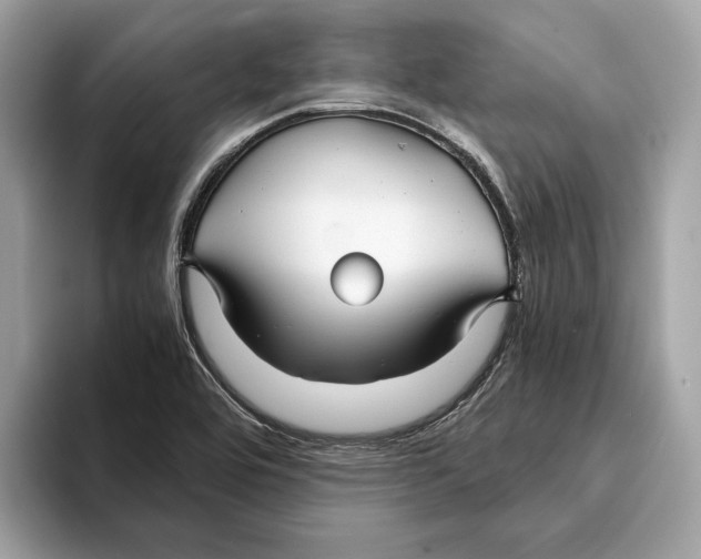 X0000095541464200801111423