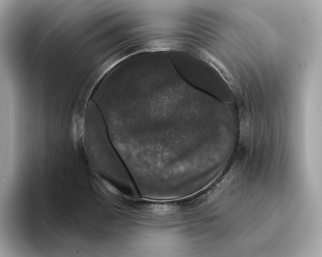 X0000095541465200801111423