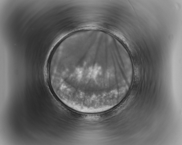 X0000095541466200801111423