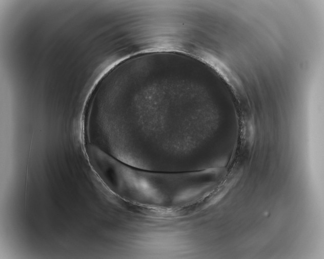 X0000095541468200801111423