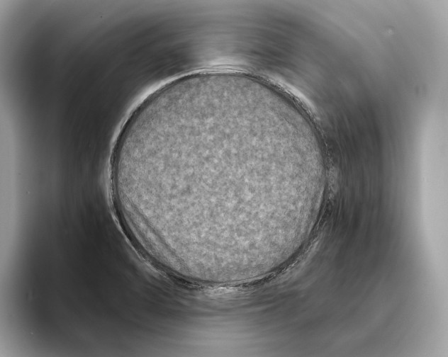 X0000095541470200801111423