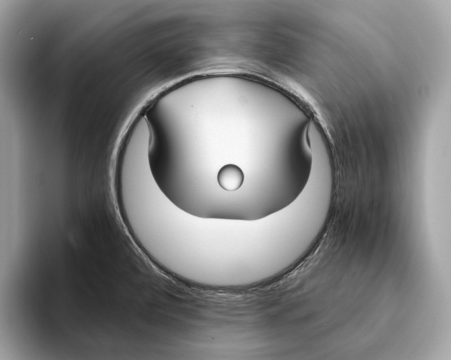 X0000095541472200801111423