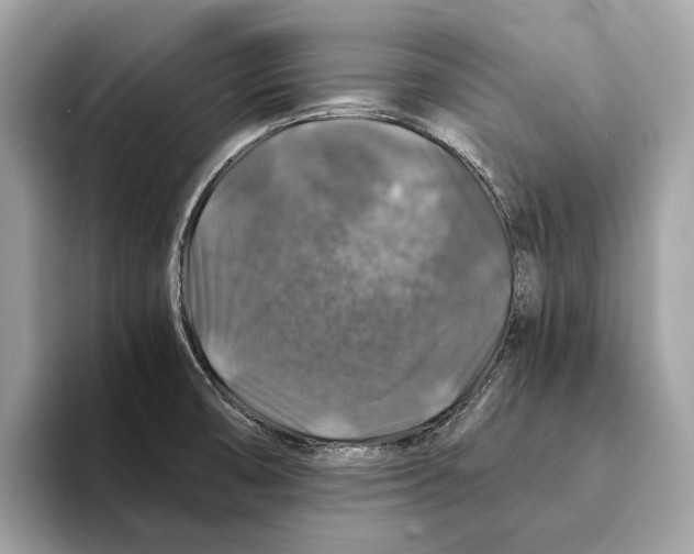 X0000095541474200801111423