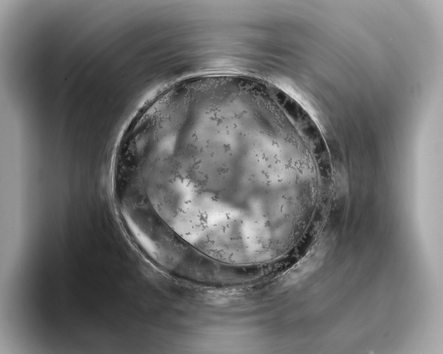 X0000095541477200801111423