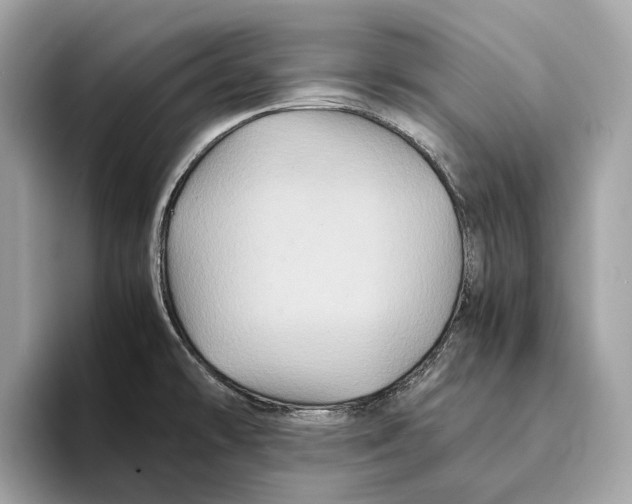 X0000095541478200801111423