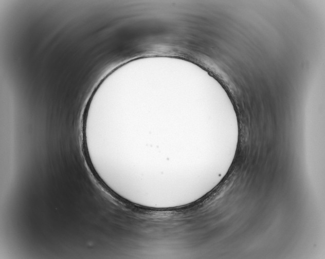 X0000095541479200801111423