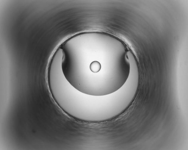 X0000095541480200801111423