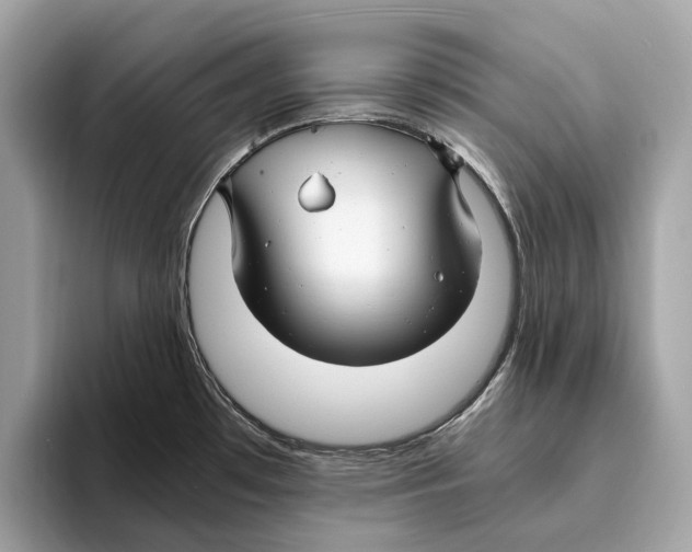 X0000095541481200801111423