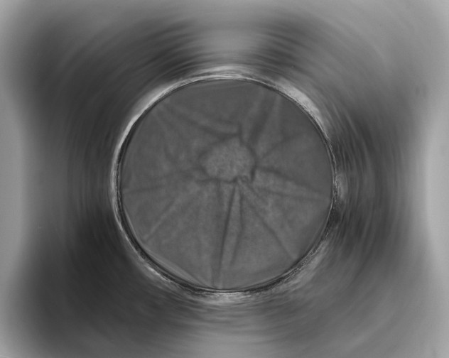 X0000095541482200801111423