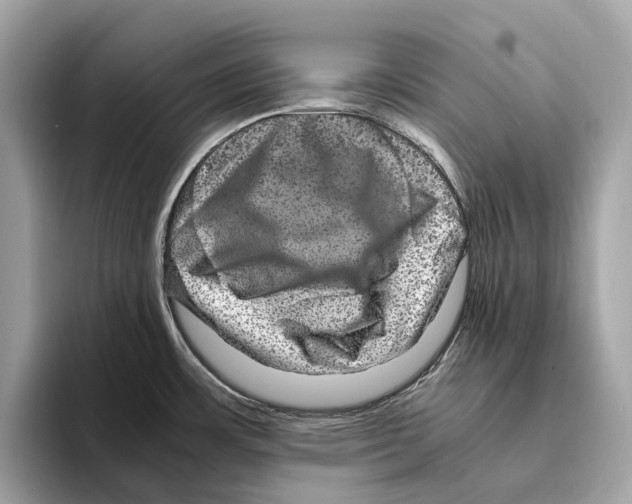 X0000095541483200801111423