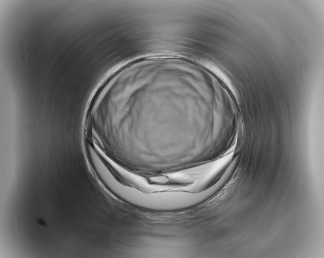 X0000095541485200801111423