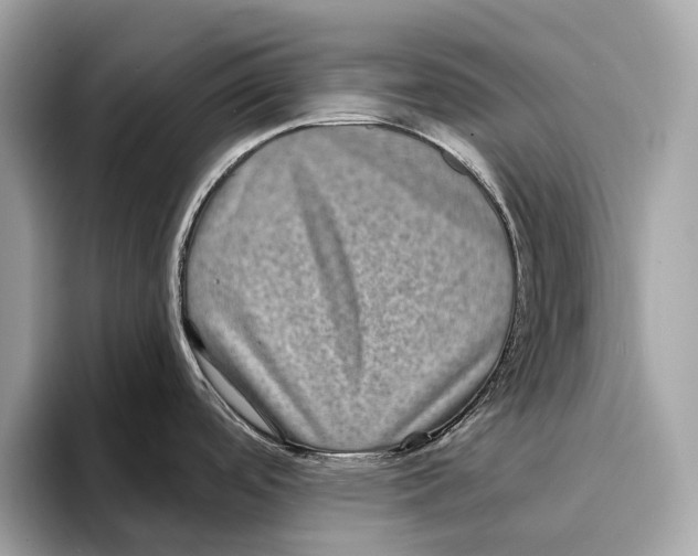 X0000095541488200801111423