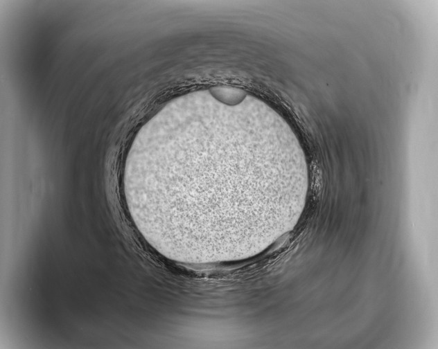 X0000095541489200801111422