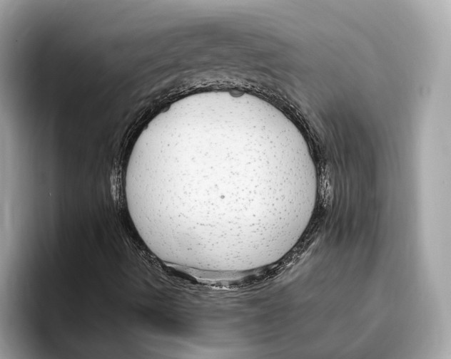 X0000095541490200801111422