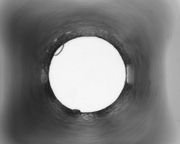 X0000095541491200801111422