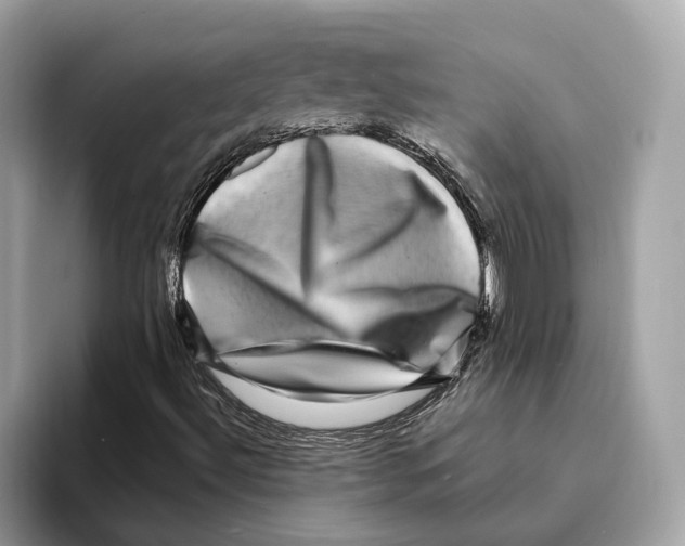 X0000095541492200801111422