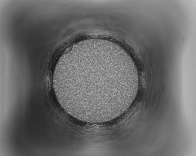 X0000095541493200801111422