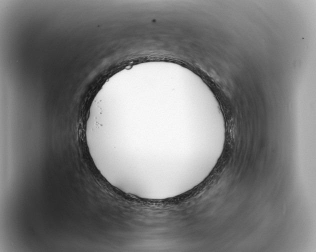 X0000095541495200801111422