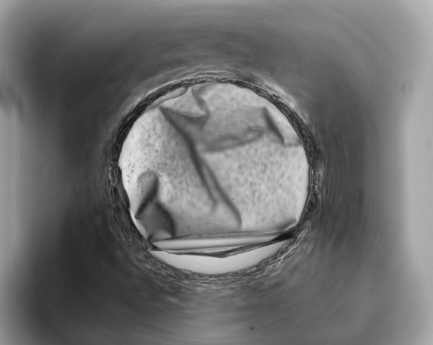 X0000095541496200801111422