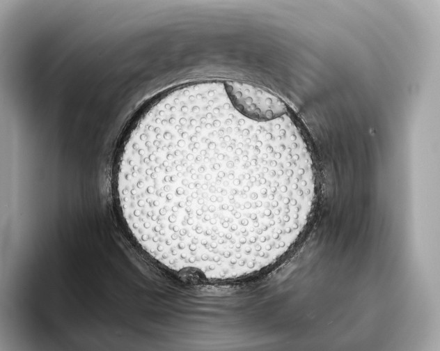 X0000095541499200801111423