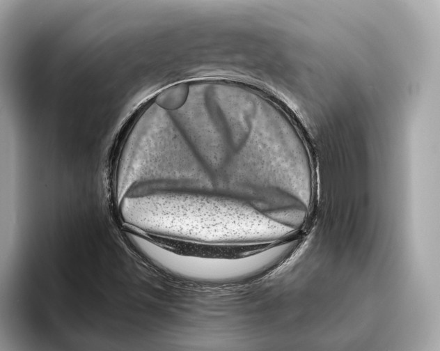 X0000095541501200801111423