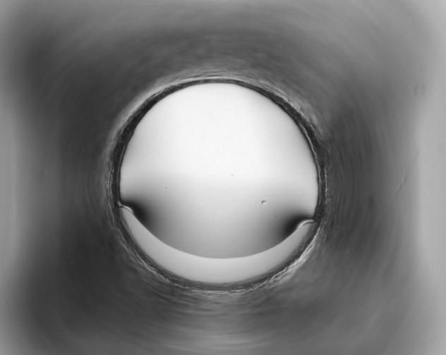 X0000095541502200801111423