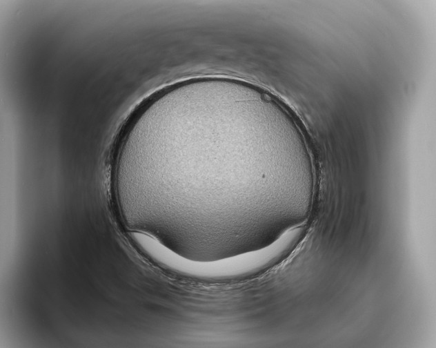 X0000095541503200801111423