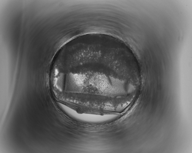 X0000095541505200801111423