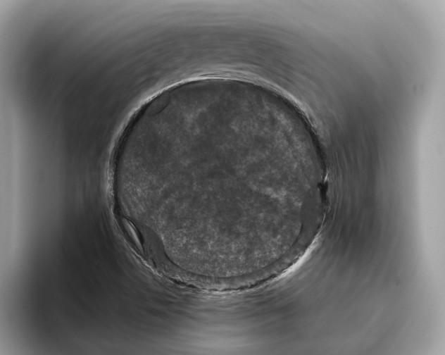 X0000095541506200801111423