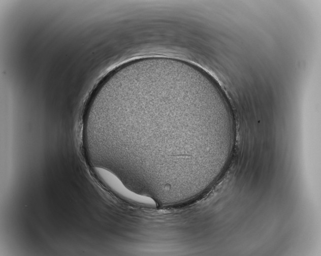 X0000095541507200801111423