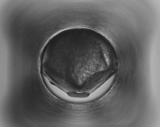 X0000095541508200801111423