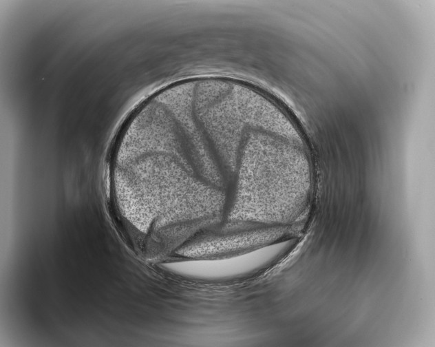 X0000095541509200801111423