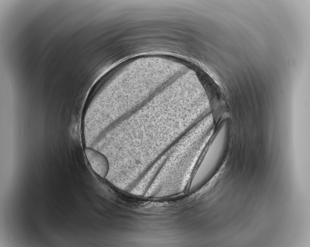 X0000095541513200801111423