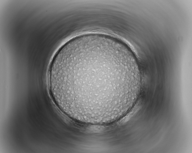 X0000095541514200801111423